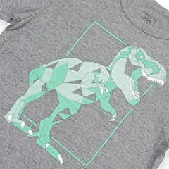 Boys Grey Dragon T-Shirt