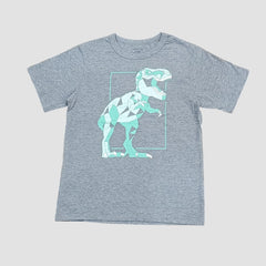 Boys Grey Dragon T-Shirt